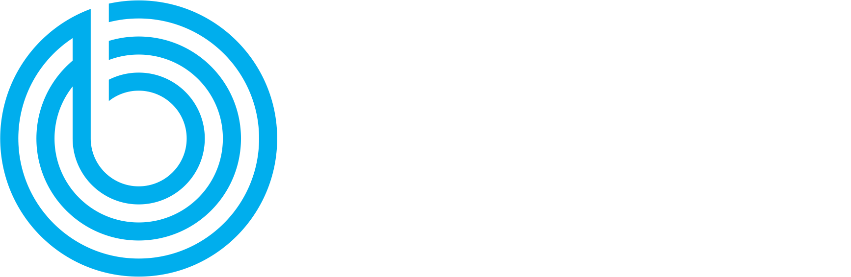 BRIO Old Site